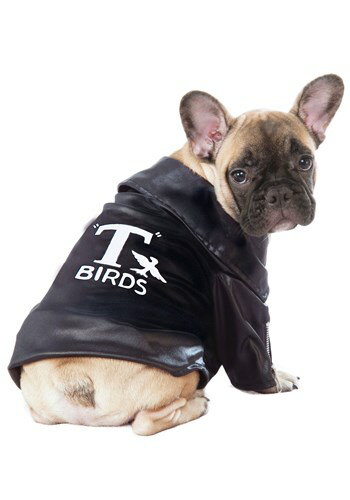 Grease T-Birds Jacket Pet コスチューム ハロウィン コスプレ 衣装 仮装 小道具 おもしろい イベント パーティ ハロウィーン 学芸会