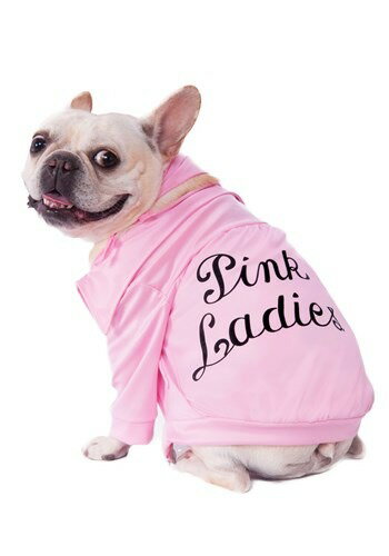 Grease Pink Ladies Jacket Pet コスチューム ハロウィン コスプレ 衣装 仮装 小道具 おもしろい イベント パーティ ハロウィーン 学芸会