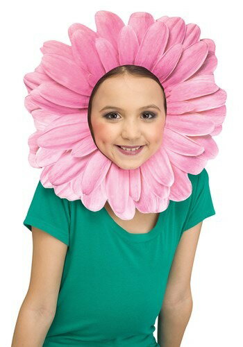 Pink Gerbera Daisy ϥ ץ   ƻ ⤷ ٥ ѡƥ ϥ طݲ