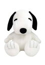 Peanuts Snoopy Pillow Buddy ハロウィン コスプレ 衣装 仮装 小道具 おもしろい イベント パーティ ハロウィーン 学芸会