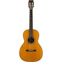 }[` Martin JX^ 00-28VS Cocobolo Adirondack Spruce Top AR[XeBbN M^[ ARM Natural