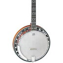 fB[ Dean BW5 Backwoods 5-String Banjo Gloss Natural