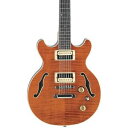 fB[ Dean Boca 12-String GLM^[ GNgbNM^[ Transparent Amber Sunburst