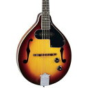 ディーン Dean Tennessee AE"A" Style Acoustic-Electric Mandolin Vintage Sunburst LN