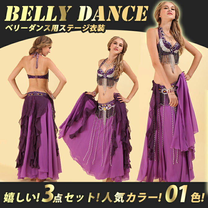 【3点セット】ベリーダンス ステージ衣装ダンス...の紹介画像2