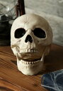 Skull with Movable Jaw | コスプレ 衣装 仮装 小道具 おもしろい イベント パーティ 発表会 デコレーション リボン アクセサリー メ...