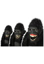 Goin Ape Gorilla マスク | コスプレ 衣装 仮装 小道具 おもしろい イベント パーティ 発表会 デコレーション リボン アクセサリー メンズ...