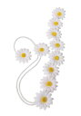 Hippie ホワイト Daisy Flower ヘッドバンド | コスプレ 衣装 仮装 小道具 おもしろい イベント パーティ 発表会 デコレーション リボン...