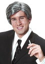 Silver Fox Men's ウィッグ | コスプレ 衣装 仮装 小道具 おもしろい イベント パーティ 発表会 デコレーション リボン アクセサリー メン...