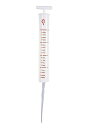 Nurse Needle | コスプレ 衣装 仮装 小道具 おもしろい イベント パーティ 発表会 デコレーション リボン アクセサリー メンズ レディース 子...