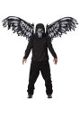 Fallen Angel マスク and 羽 | コスプレ 衣装 仮装 小道具 おもしろい イベント パーティ 発表会 デコレーション リボン アクセサリー メ...