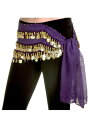 Purple Belly Dance Hip Scarf 