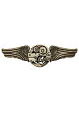 Antique Gear Wing Pin | コスプレ 衣装 仮装 小道具 おもしろい イベント パーティ 発表会 デコレーション リボン アクセサリー メン...
