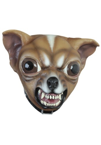 Dog - Chihuahua ޥ | ץ   ƻ ⤷ ٥ ѡƥ ȯɽ ǥ졼 ܥ ...