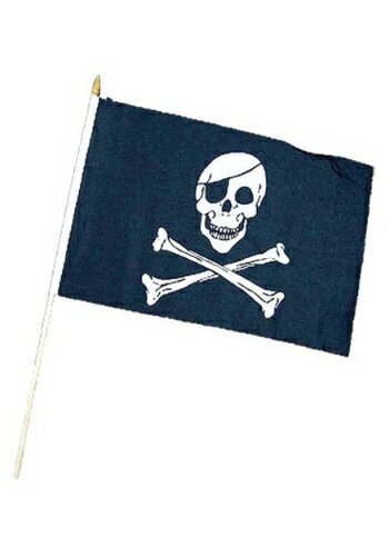 Skull & Crossbones 海賊 パイレーツ Flag ハロウィン コスプレ 衣装 仮装 小道具 おもしろい イベント..