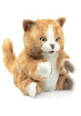 Folkmanis Orange Tabby Kitten 8 ” Puppet ハロウィン コスプレ 衣装 仮装 小道具 おもしろい イベント パーティ ハロウィーン 学芸会 学園祭 学芸会 ショー お遊戯会 二次会 忘年会 新年会 歓迎会 送迎会 出し物 余興 誕生日 発表会