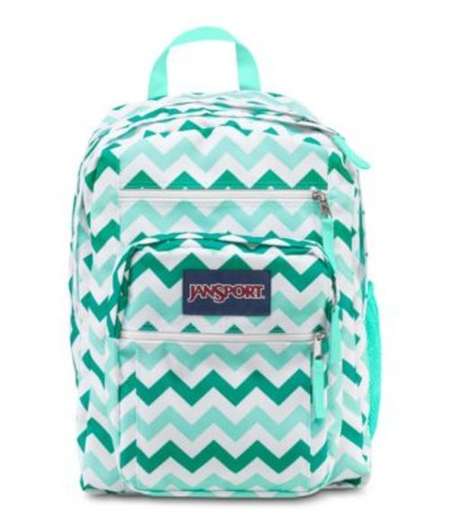 󥹥ݡ JANSPORT BIG STUDENT BACKPACK AQUA DASH ZOU BISOU Хå  å...