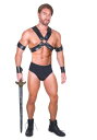セクシー Gladiator コスチューム for Men ハロウィン メンズ コスプレ 衣装 男性 仮装 男性用 イベント パーティ ハロウィーン 学芸会 学園祭 学芸会 ショー お遊戯会 二次会 忘年会 新年会 歓迎会 送迎会 出し物 余興 誕生日 発表会