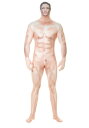 Naked セクシー Man Faux Real Morphsuit 大人用 コスチューム ハロウィン メンズ コスプレ 衣装 男性 仮装 男性用 イベント パーティ ハロウィーン 学芸会