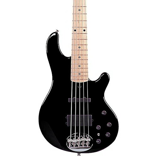 Lakland Skylin レイクランドe 55-02 5-String Bass Black Maple Fretboard ベースギター エレクトリックベース