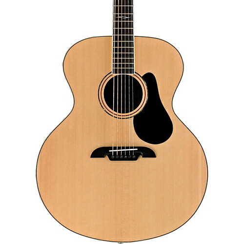 Alvarez Artist Series ABT60 Baritone Guitar Natural ベースギター アコースティックベース