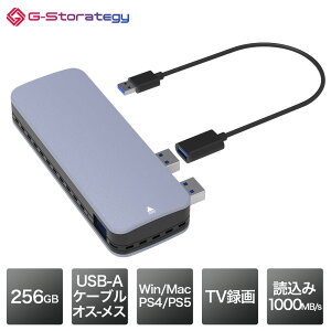 G-Storategy SSD դ 256GB  ݡ֥ PS5 PS4б ưǧ ѥ  USB3.2Gen2 USB TypeA FFF NV33525EX-GY