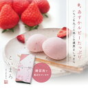 ロッキーマウンテン プチカラーマシュマロ 150g / トッピング デコレーション 製菓材料