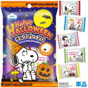 スヌーピー・チョコマシュマロ(個包装) 【ハロウィン★数量限定】