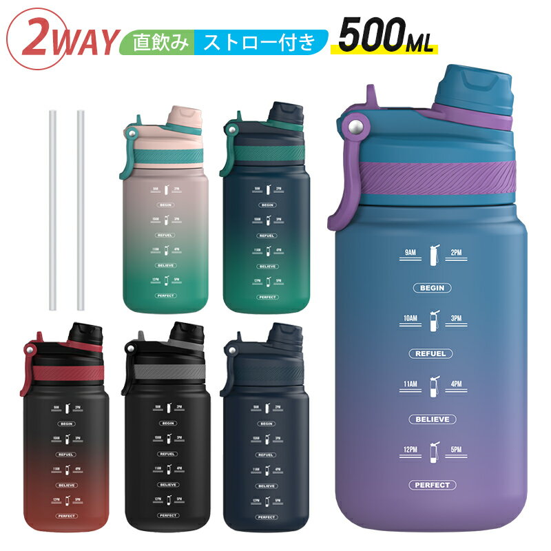 HoneyHolly ウォーターボトル 目盛り 500ml 水筒 直飲み ストロー 2way タイムマーカー ボトル タイムマーカー付きウォーターボトル ストロー付き水筒 持ち運び 洗いやすい 耐熱 高品質 軽い 子供 取っ手付き アウトドア スポーツ クリスマスのサムネイル