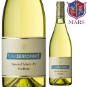 白ワイン チームセリザワ オリジナルワイン TEAM SERIZAWA Special Select ＃2 Vin Blanc 750ml 12％ 