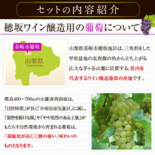 ワインセット 穂坂収穫 赤白2本セット [2018] [2019] 720ml 2本 12％ [ 本坊酒造 マルス山梨ワイナリー / 山梨県 / 赤ワイン ミディアムボディ / 白ワイン 辛口 / カベルネ・ベリーA 甲州 / 父の日 ギフト セット 送料無料 ]