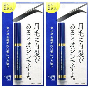 メンズ眉墨 ブラック 2個 アイブロー アイブロウ 部分 白髪隠し 眉毛 もみあげ 男性用 メンズ用 ポイント 眉毛用 眉マスカラ ビナ薬粧 オジン