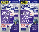 DHC 速攻ブルーベリー 20日分 2袋 40粒