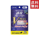 DHC 速攻ブルーベリーV-MAX　20日