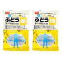 大丸本舗 塩クエン酸入 ぶどう糖 25粒 ×2袋セット