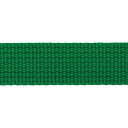 カラーテープグリーン 25mm巾 1.5m巻SUN56-54 入園/入学/通園通学/ハンドメイド/手作り/手芸/【SUN商品】