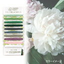 フランス刺しゅう糸セット オリムパスGARDEN PARTYGP-C12 クラシック