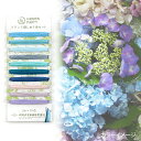 フランス刺しゅう糸セット オリムパスGARDEN PARTYGP-C8 アクア