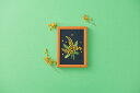 wild flowers <mimosa> 戸塚刺しゅう No.550 ワイルドフラワー ミモザ 花 フレーム 刺しゅう 刺繍キット 手作り ハンドメイド 手芸