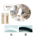 動物用のヒゲ 3m入り 白 黒 ハマナカ Hamanaka