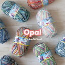 オパール 毛糸 Opal 「WirbelWind」つむじ風 中細 ウール ナイロン (1玉単位)
