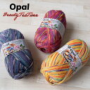 オパール 毛糸 Opal 「Beauty5 TeaTime」ビューティー5 ティータイム 中細 ウール ナイロン (1玉単位)
