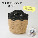 編み物 バッグ キット エコアンダリヤ 3玉で編める【ウェーブ模様のバイカラーバッグ】かぎ針 手編みキット