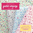 テントウムシ　キャシー洋輔　petit voyage レイディバグアロエージュ（抗菌保湿）　綿シャーティング　小花柄　約110cm幅　綿100％ 生地