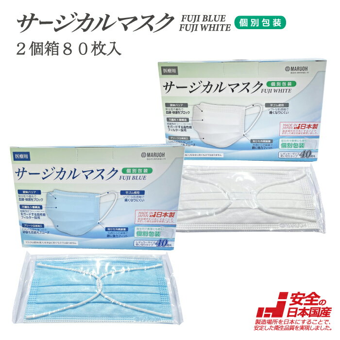   ޥ JIS T9001饹3 Ŭ۸ 2Ȣ80 FUJI WHITEFUJI BLUE ...