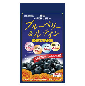 【ゆうパケット対応】【送料無料】豊生　ブルーベリー＆ルテイン・クロセチン◆サプリメント　サプリ 眼精疲労 目 ポイント消費 メール便 2ヶ月分 ポイント消費