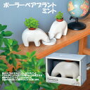 ポーラーベアプラント/ミント 敬老の日 栽培キット 家庭菜園 おうち菜園 インテリアグリーン 園芸 ギフト おしゃれ かわいい ガーデニング スタイリッシュ シ...