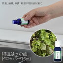 楽天まるモール　楽天市場店【100円クーポン有】和種はっか油ドロッパー15ml ミント 清涼感 リフレッシュ リラックス ニオイ 臭い 花粉症 マスク 鼻づまり 玄関 台所 流し 癒し 香り 快適 爽快 アロマテラピー 網戸 キッチン ゴミ箱 消臭 フレーバーライフ社 フレーバーライフ フレーバー