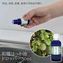 楽天まるモール　楽天市場店【100円クーポン有】和種はっか油ドロッパー50ml ミント 清涼感 リフレッシュ リラックス ニオイ 臭い 花粉症 マスク 鼻づまり 玄関 台所 流し 癒し 香り 快適 爽快 アロマテラピー 網戸 キッチン ゴミ箱 消臭 フレーバーライフ社 フレーバーライフ フレーバー