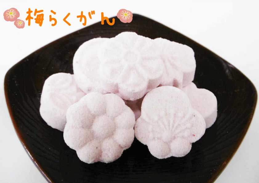 梅らくがん 駄菓子 昔なつかしい 梅 落雁 うめ らくがん 梅和菓子 和菓子